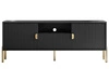 Szafka RTV dwudrzwiowa na złotych nogach z szufladą Orlean czarny mat