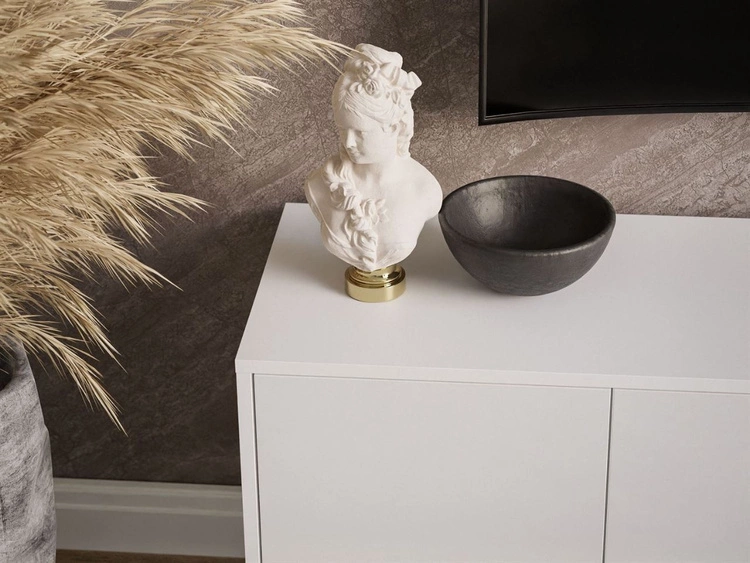 Szafka RTV pod telewizor z drzwiczkami na czarnym stelażu Vivance Biały połysk