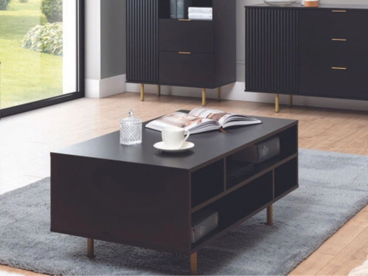 Stolik kawowy Ankara Czarny