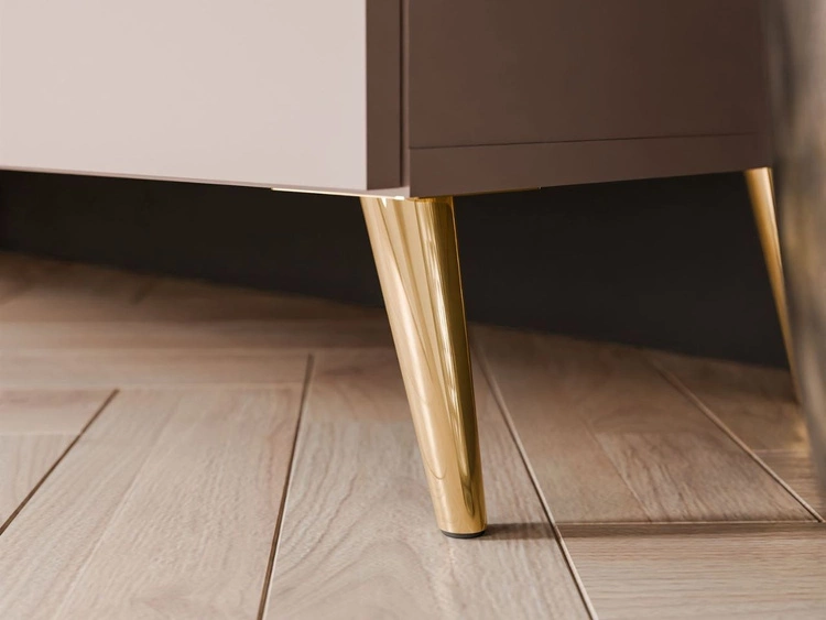 Szafka RTV pod telewizor z drzwiczkami na złotych nóżkach 100 cm Noaé Kaszmir