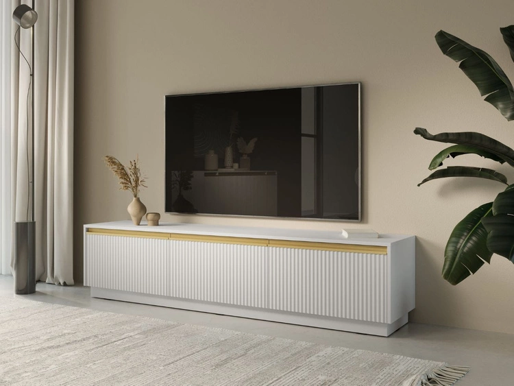 Szafka pod telewizor z drzwiczkami Roland Biały