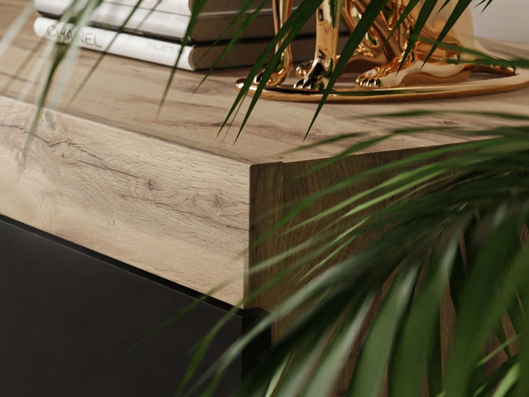 Dwudrzwiowa komoda 164 cm w stylu loft Asumi czarny mat i dąb wotan