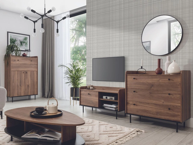 Szafka pod telewizor z drzwiczkami 100 cm Vasa Brązowa