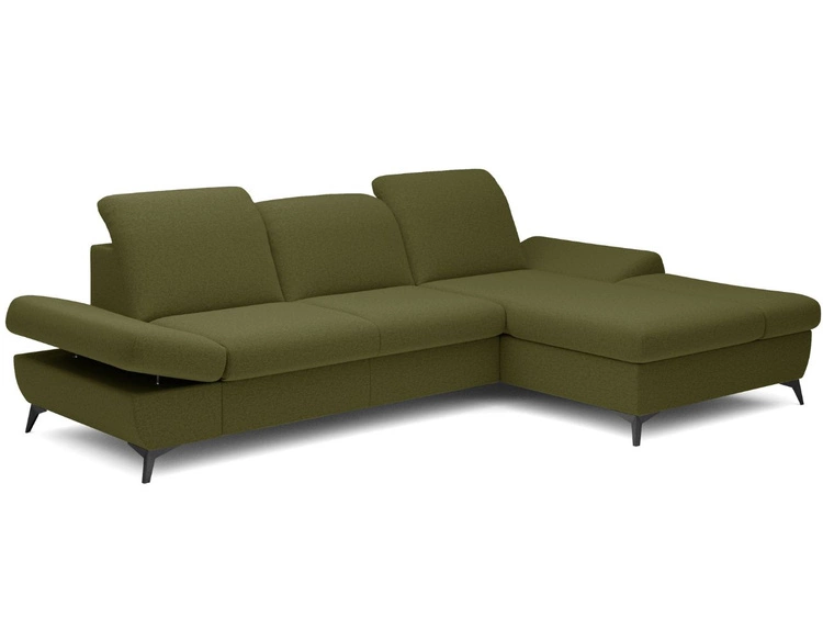 Ciemny zielony \ Prawa