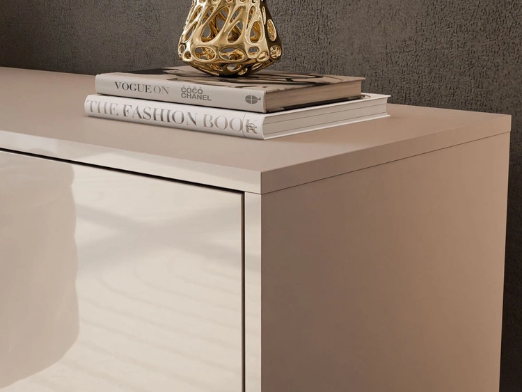 Szafka RTV pod telewizor z drzwiczkami na srebrnych nogach Vivance Kaszmir połysk