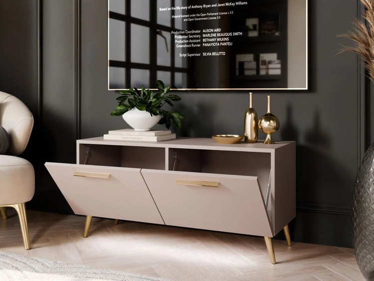 Szafka RTV pod telewizor z drzwiczkami i oświetleniem LED na złotych nóżkach 100 cm Noaé Kaszmir