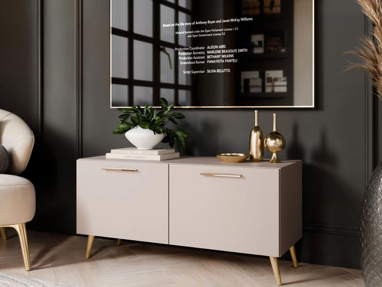 Szafka RTV pod telewizor z drzwiczkami na złotych nóżkach 100 cm Noaé Kaszmir