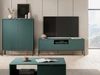 Szafka pod telewizor z szufladami i drzwiczkami Amber zielona na czarnych nogach
