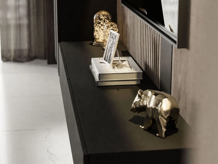 Meblościanka RTV wisząca do salonu Sorelle Czarny mat