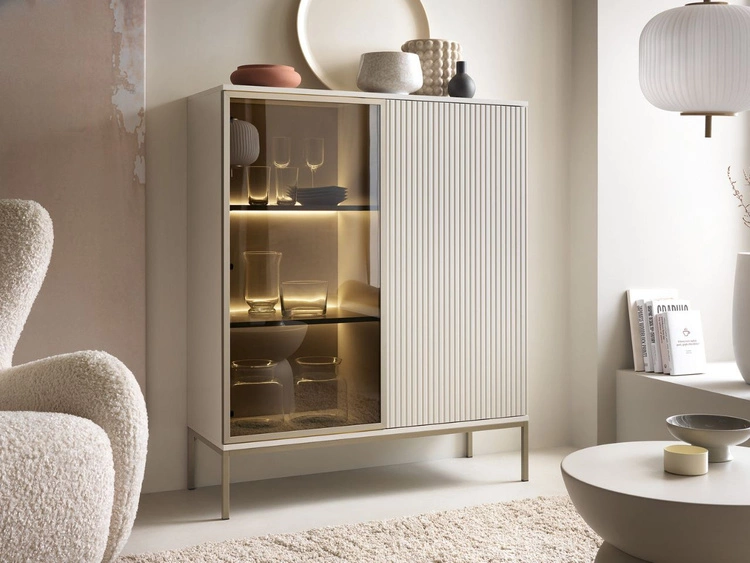 Witryna stojąca do salonu z oświetleniem LED niska Deo Kaszmirowa