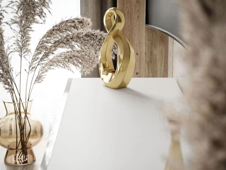 Szafka RTV z frezowanymi frontami i metalowymi czarnymi nóżkami Vionel biały połysk