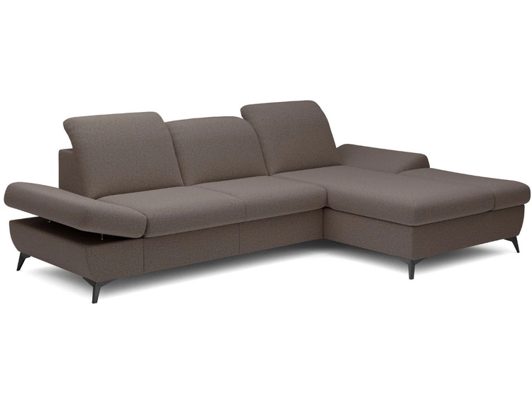 Ciemny brąz \ Prawa