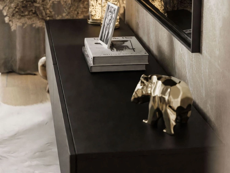 Wisząca meblościanka z oświetleniem LED do salonu Sorelle Czarny mat