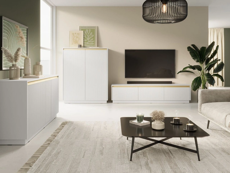 Szafka pod telewizor z drzwiczkami Roland Biały