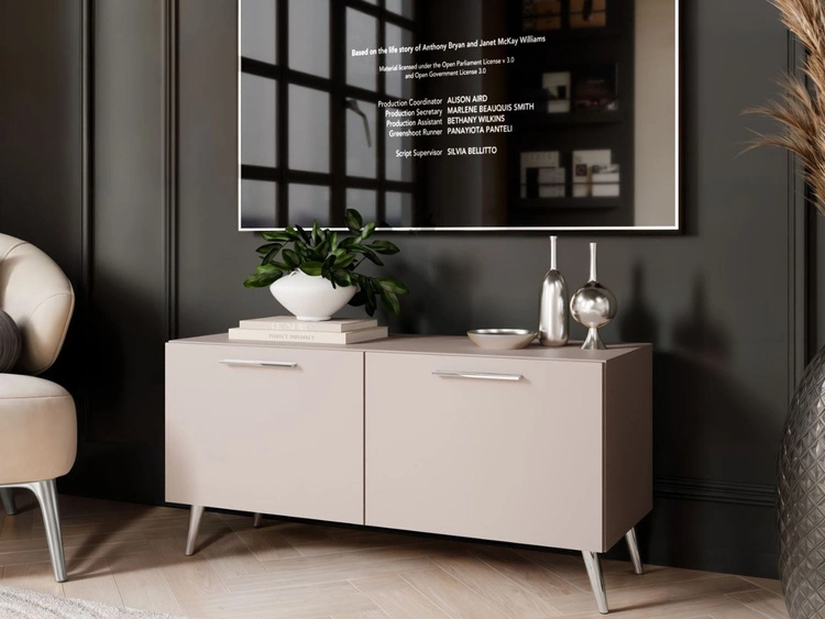 Szafka RTV pod telewizor z drzwiczkami na srebrnych nóżkach 100 cm Noaé Kaszmir