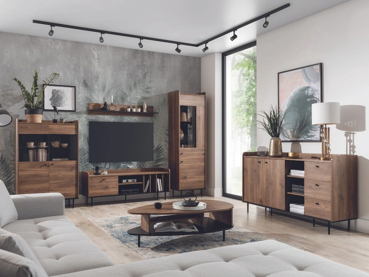 Witryna stojąca do salonu Vasa Brązowa