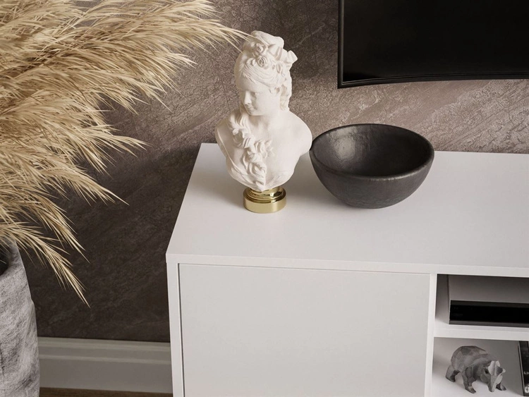 Szafka RTV pod telewizor z drzwiczkami na srebrnych nogach Vivance Biały połysk