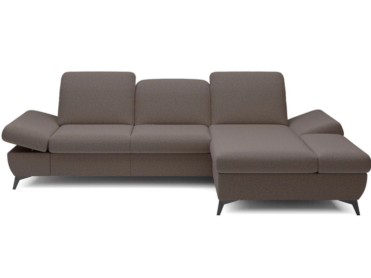 Ciemny brąz \ Prawa