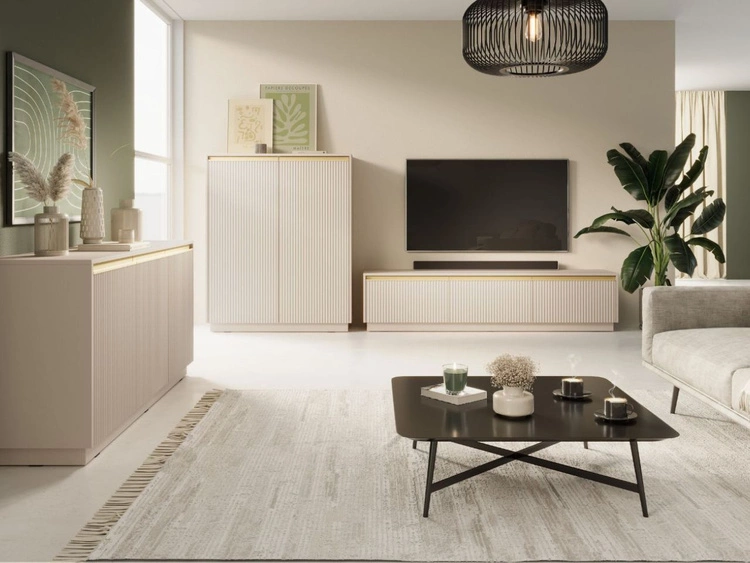 Szafka pod telewizor z drzwiczkami Roland Beż piaskowy