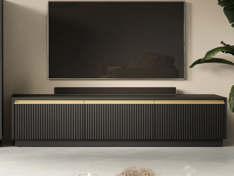 Szafka pod telewizor z drzwiczkami Roland Czarny