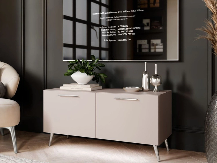 Szafka RTV pod telewizor z drzwiczkami i oświetleniem LED na srebrnych nóżkach 100 cm Noaé Kaszmir